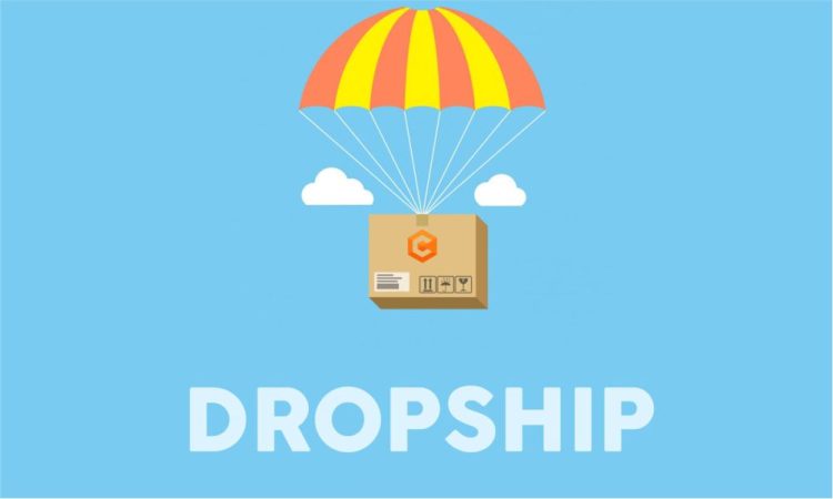 DROPSHIP